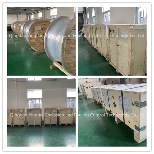 Assembly Type High Silicon Cast Iron Anode Auxiliary Anode