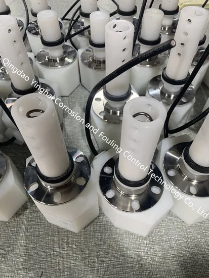 Platinum and Nionium Auxiliary Anode for You Need