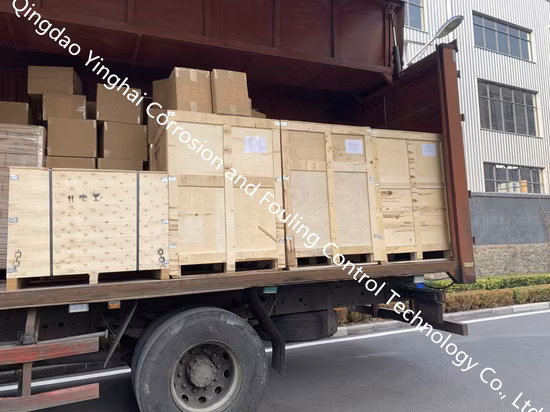 Assembly Type High Silicon Cast Iron Anode Auxiliary Anode